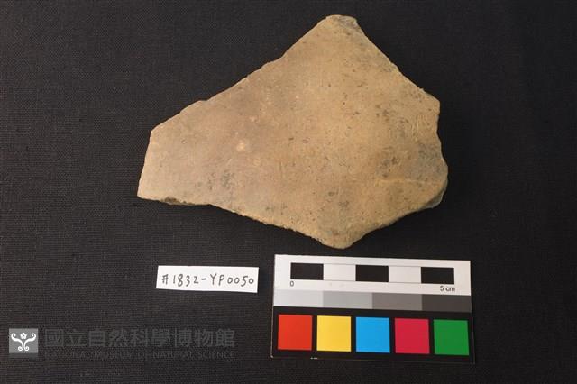 陶片藏品圖，第1張