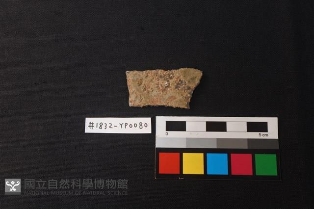 陶片藏品圖，第1張