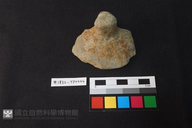 陶片藏品圖，第1張
