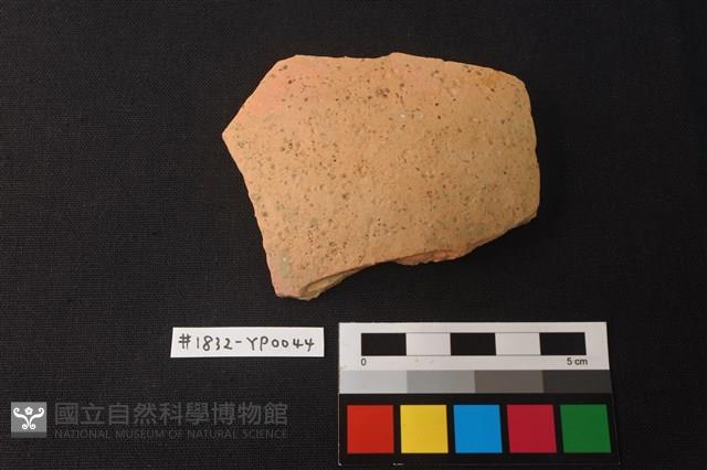 陶片藏品圖，第1張