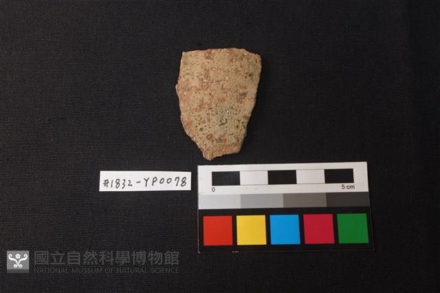 陶片藏品圖，第1張