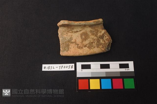 陶片藏品圖，第1張