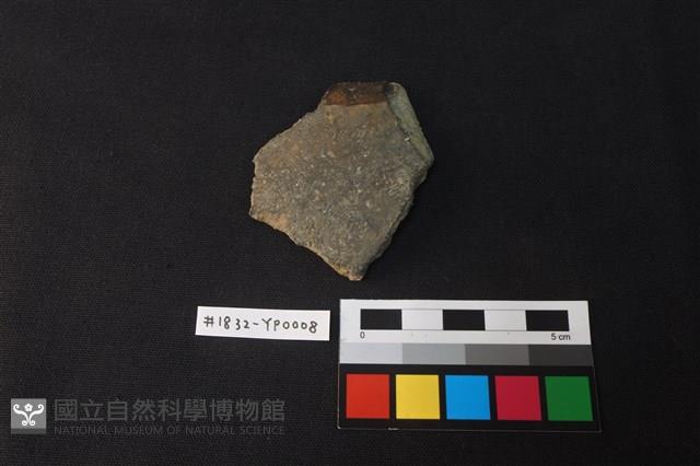陶片藏品圖，第1張