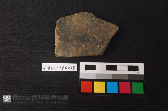 陶片藏品圖，第1張