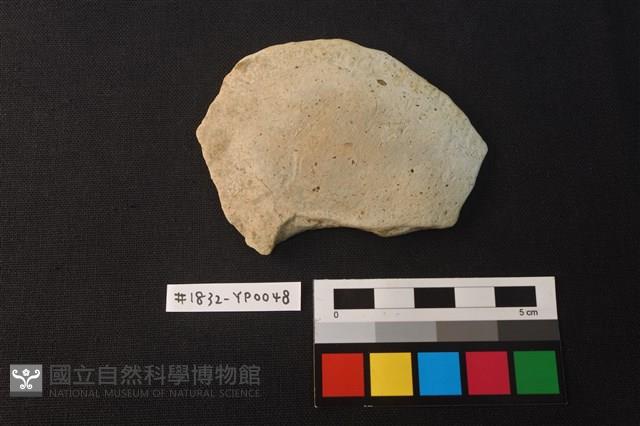 陶片藏品圖，第1張