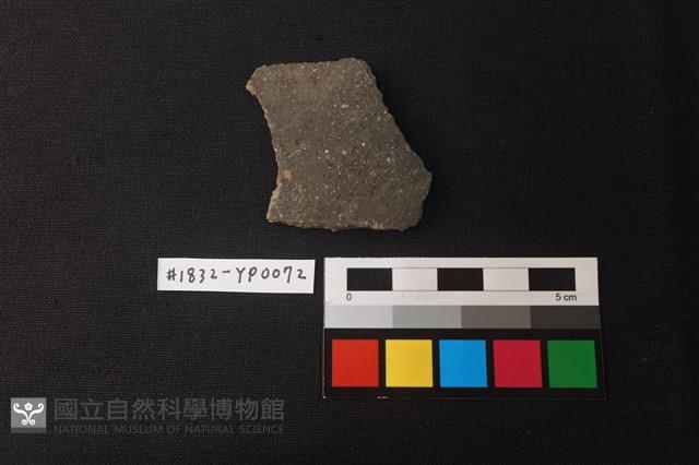 陶片藏品圖，第1張