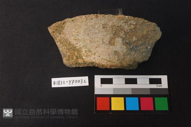 陶片藏品圖，第1張