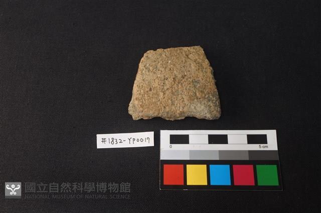 陶片藏品圖，第1張