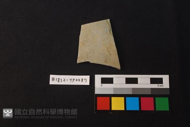陶片藏品圖，第1張