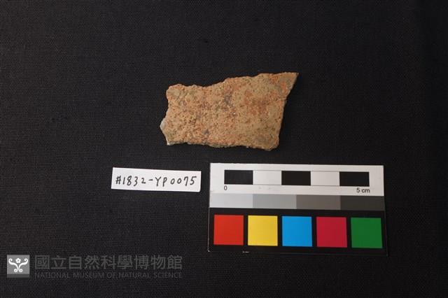 陶片藏品圖，第1張