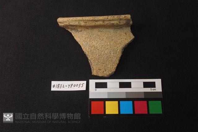 陶片藏品圖，第1張