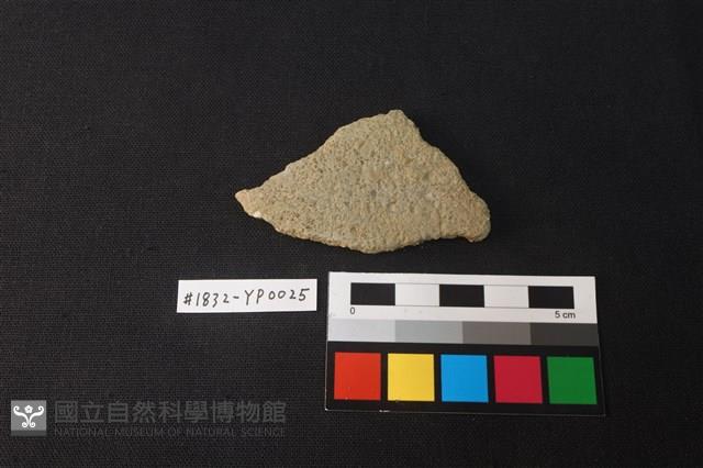陶片藏品圖，第1張