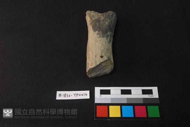 陶片藏品圖，第1張