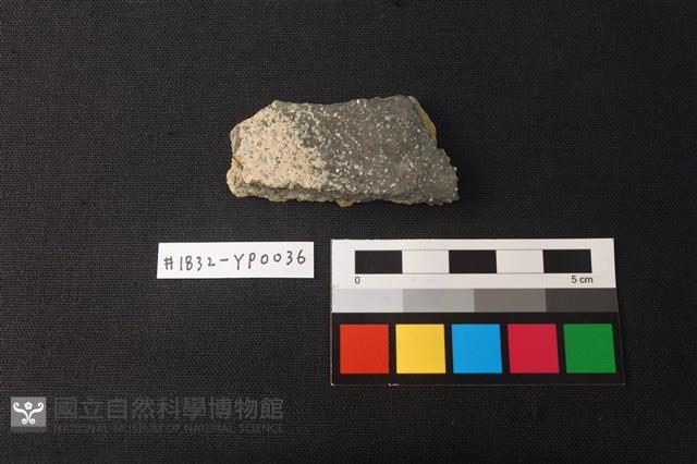 陶片藏品圖，第1張