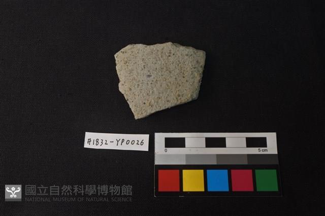 陶片藏品圖，第1張