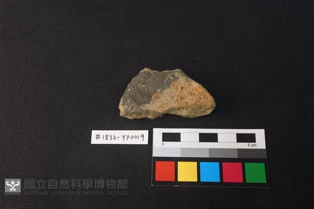陶片藏品圖，第1張