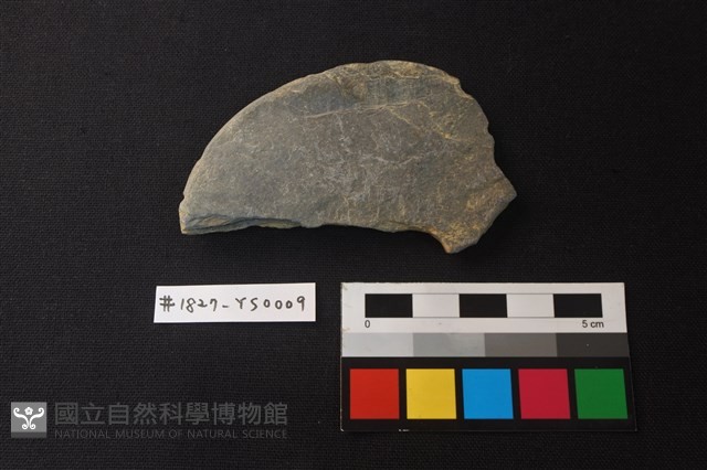 磨製盤形器藏品圖，第1張