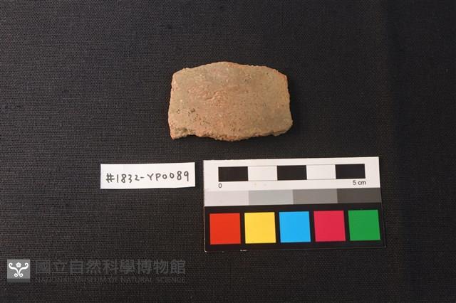 陶片藏品圖，第1張
