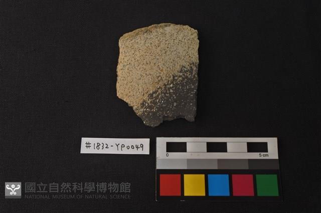 陶片藏品圖，第1張