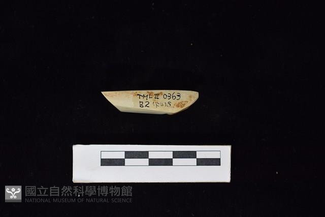 錛鑿形器藏品圖，第3張