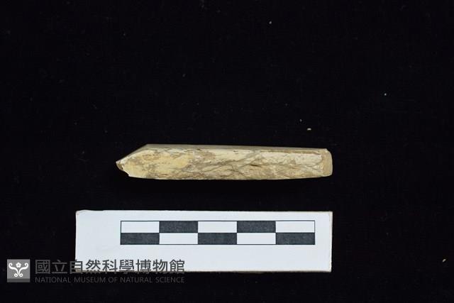 錛鑿形器藏品圖，第3張