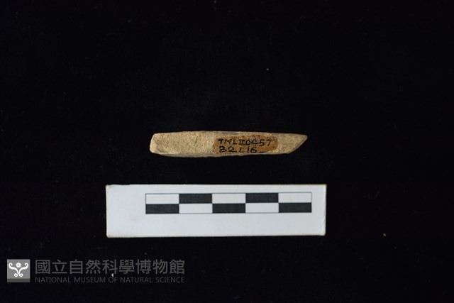 錛鑿形器藏品圖，第3張