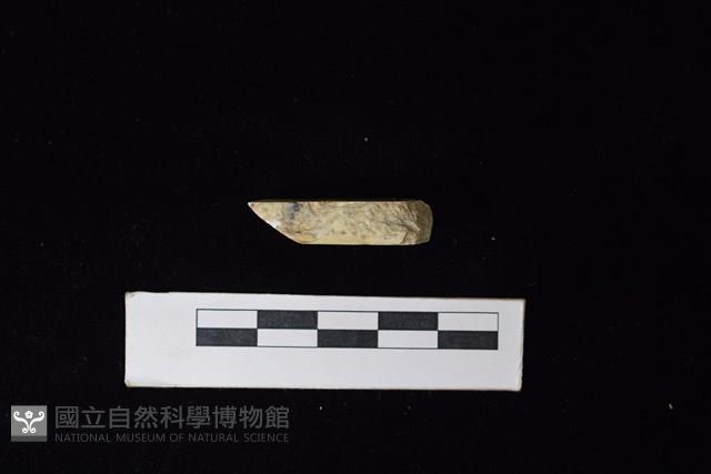 錛鑿形器藏品圖，第3張