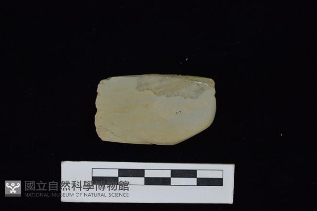 錛鑿形器藏品圖，第2張