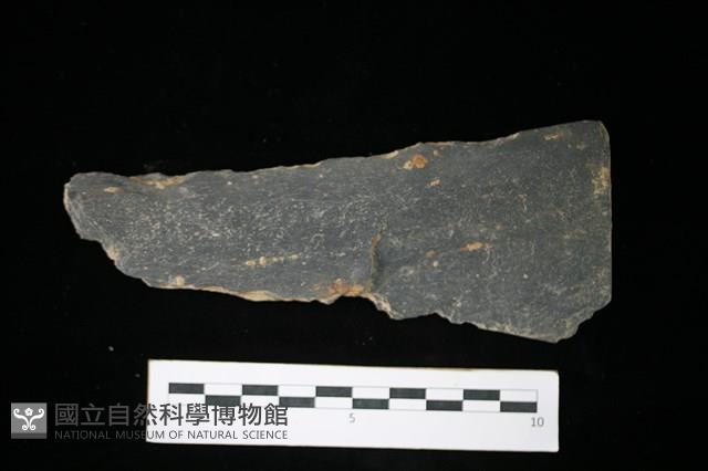 Accession Number:TMLII0701 Collection Image, Figure 2, Total 2 Figures