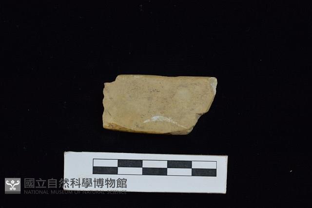 錛鑿形器藏品圖，第2張