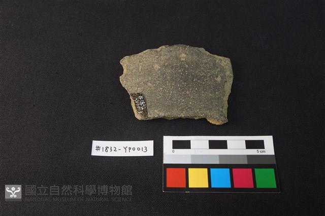 陶片藏品圖，第2張