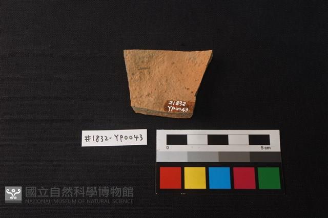 陶片藏品圖，第2張