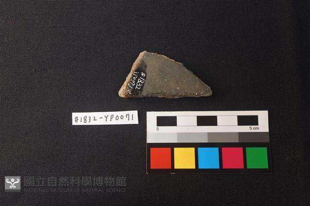 陶片藏品圖，第2張