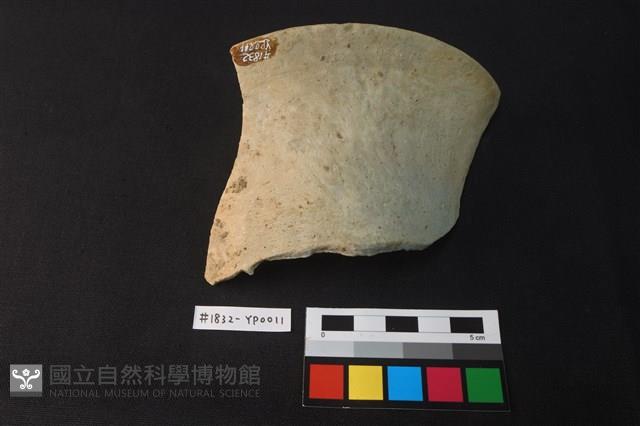 陶片藏品圖，第2張
