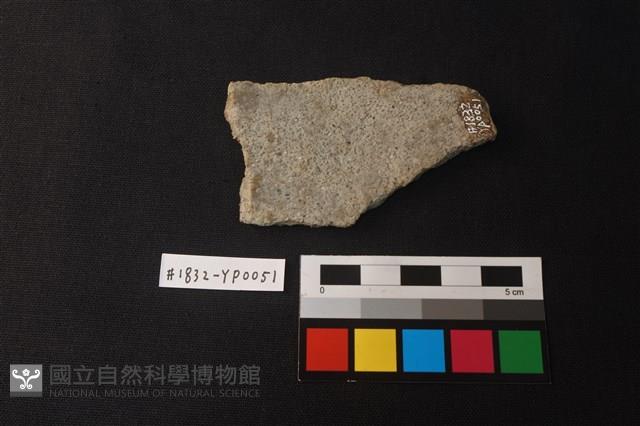陶片藏品圖，第2張