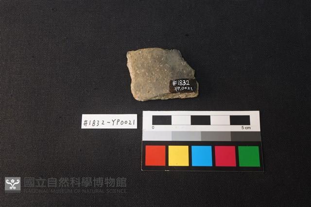 陶片藏品圖，第2張
