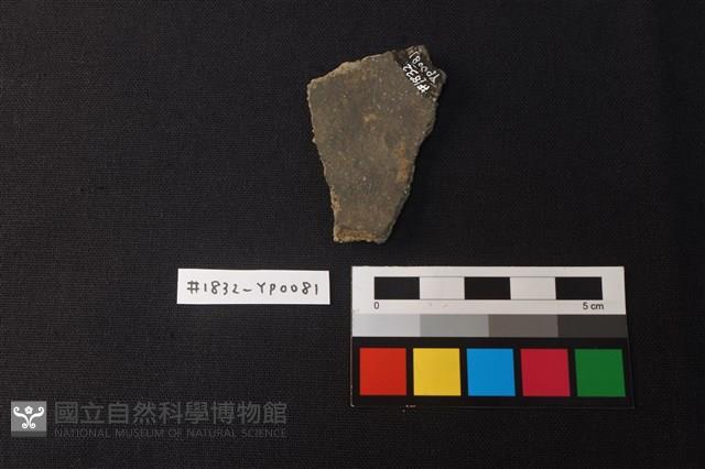 陶片藏品圖，第2張