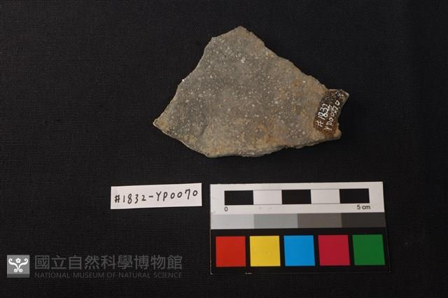 陶片藏品圖，第2張