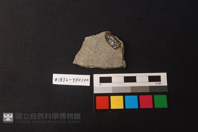 陶片藏品圖，第2張