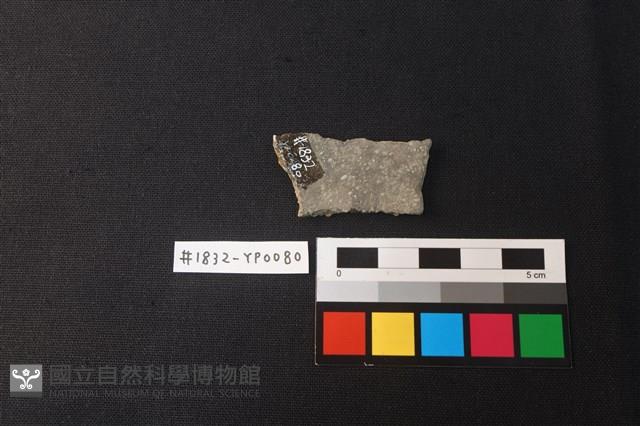 陶片藏品圖，第2張