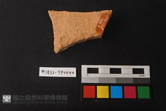 陶片藏品圖，第2張
