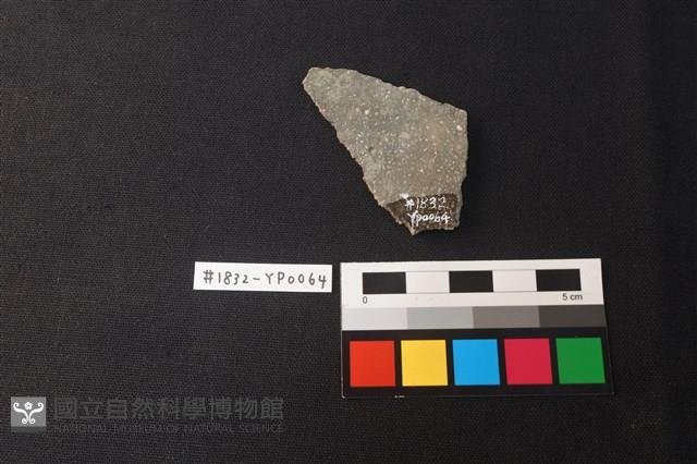 陶片藏品圖，第2張