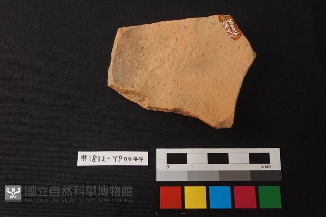 陶片藏品圖，第2張