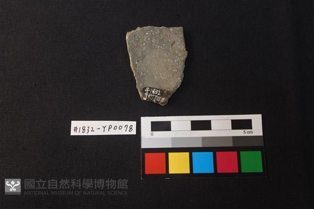 陶片藏品圖，第2張