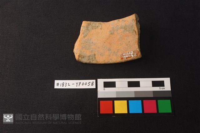 陶片藏品圖，第2張