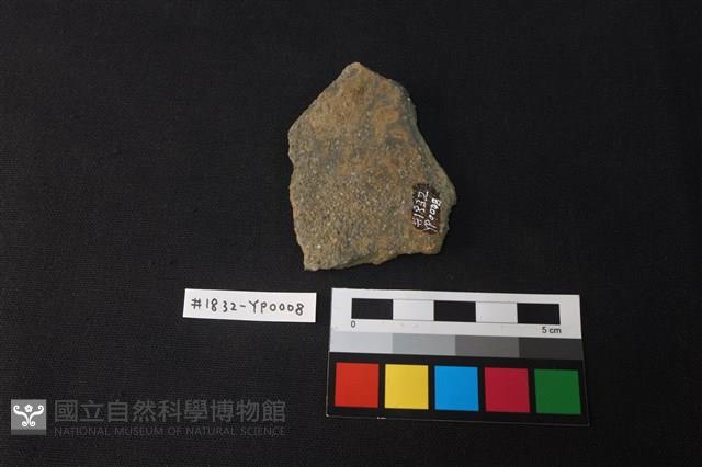 陶片藏品圖，第2張