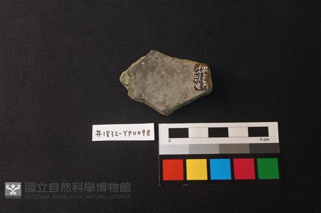 陶片藏品圖，第2張