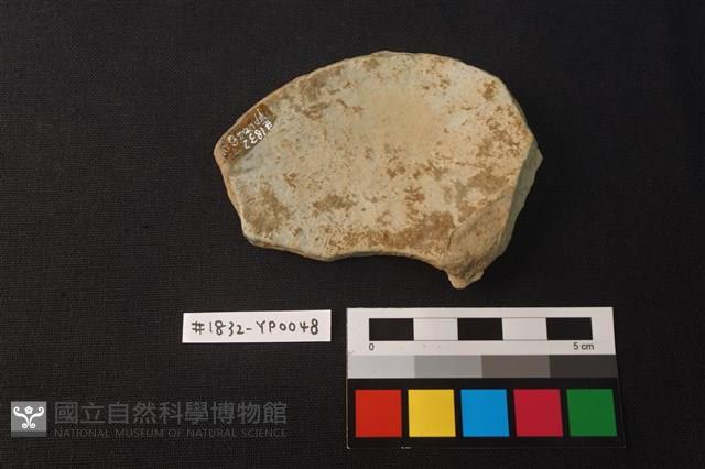 陶片藏品圖，第2張