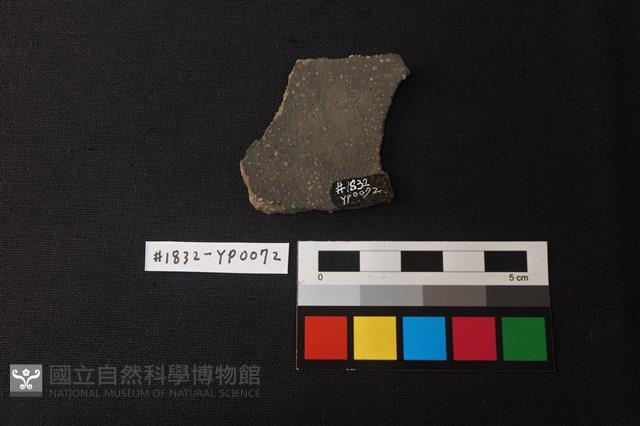 陶片藏品圖，第2張