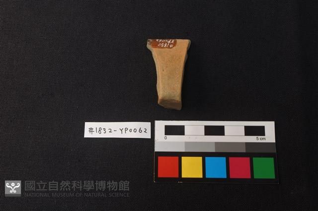 陶片藏品圖，第2張